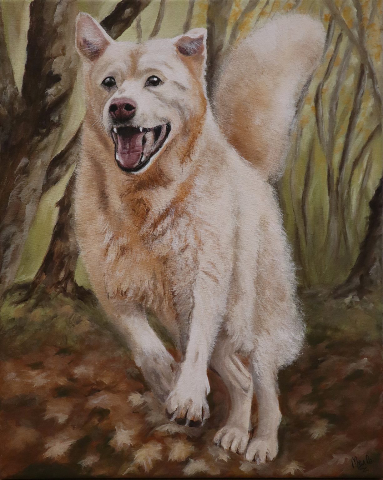 13. Coco 3 - Un perro no sólo querido por su humana, sino por todo su grupo de amigos.

