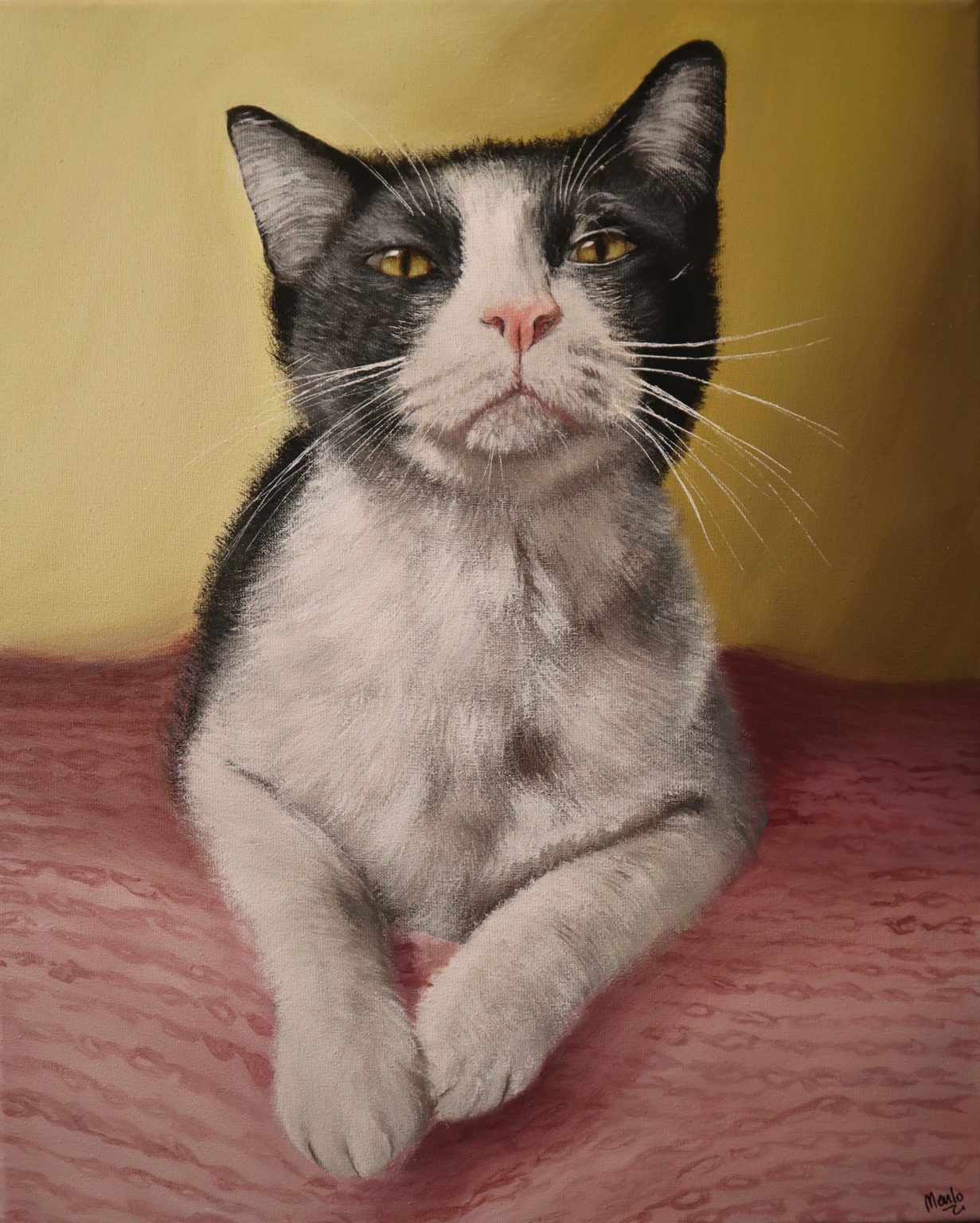 14. Silvestre - Una minina inesperada, y adorada por su familia.
