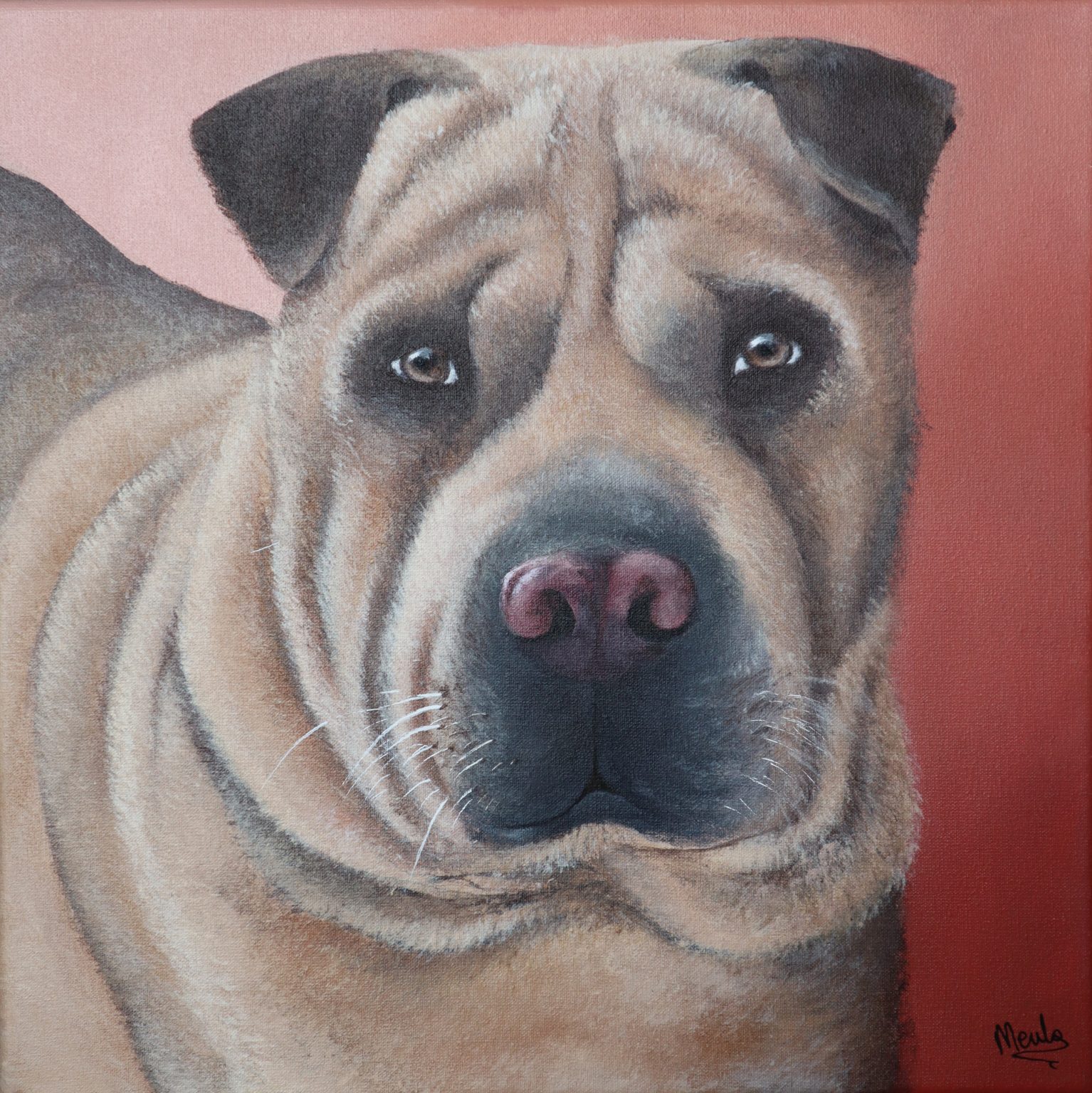 28. Bambú - Un perro afortunado por encontrar a su familia ideal.
