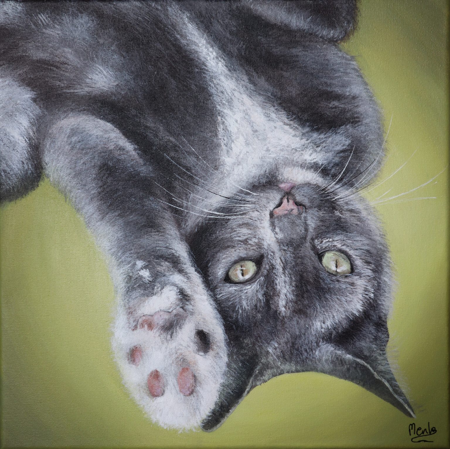 27. Smokey - Un milagro en forma de gata.
